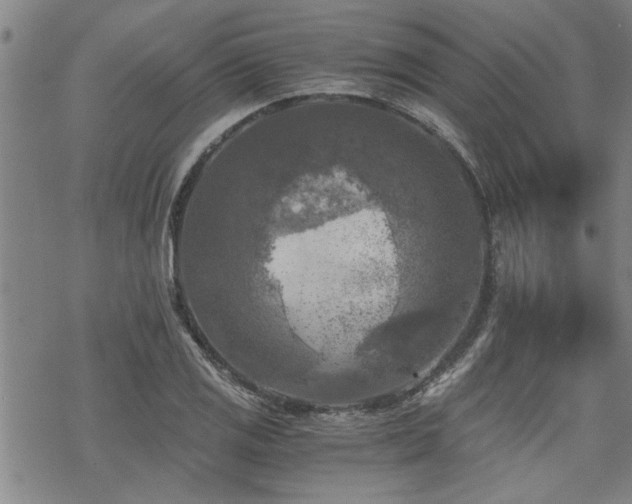 X0000069811125200605191039