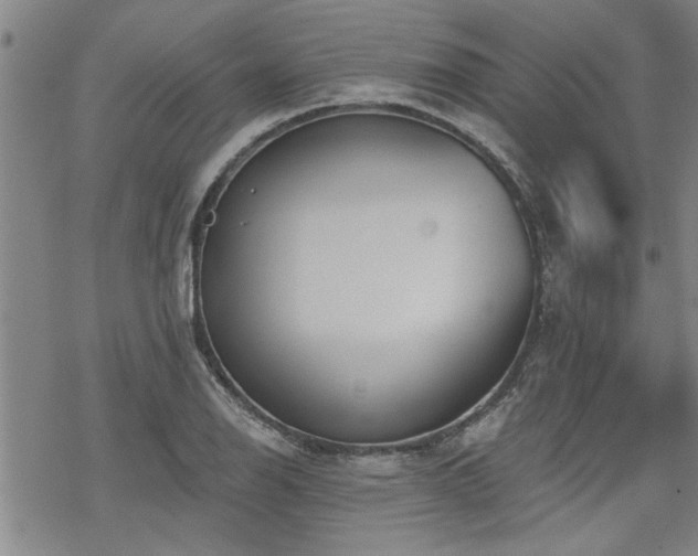 X0000069811126200605191039