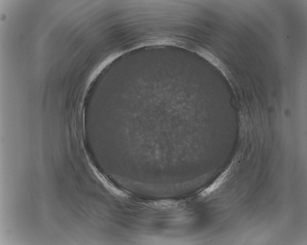 X0000069811127200605191039