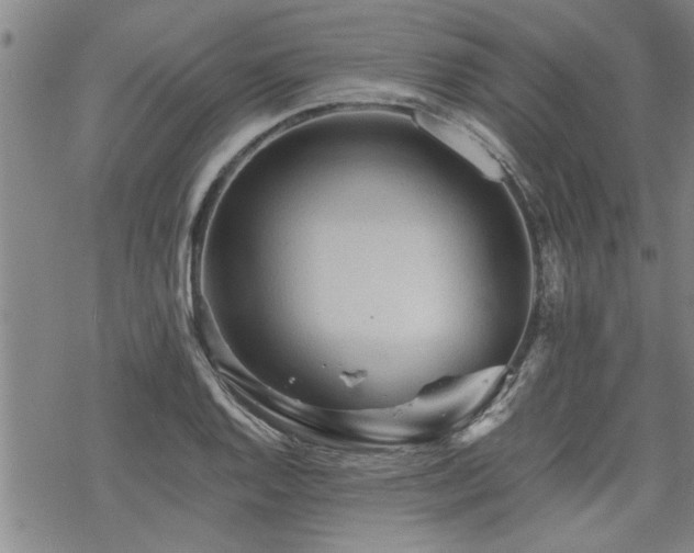 X0000069811128200605191039