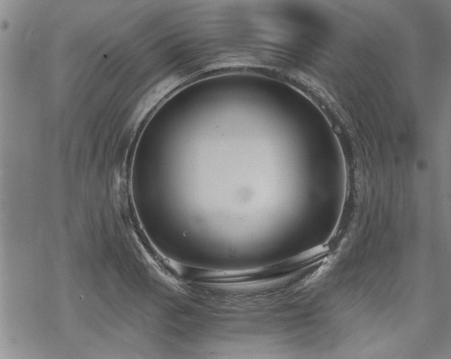 X0000069811129200605191039