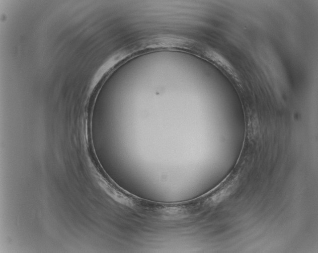 X0000069811130200605191039