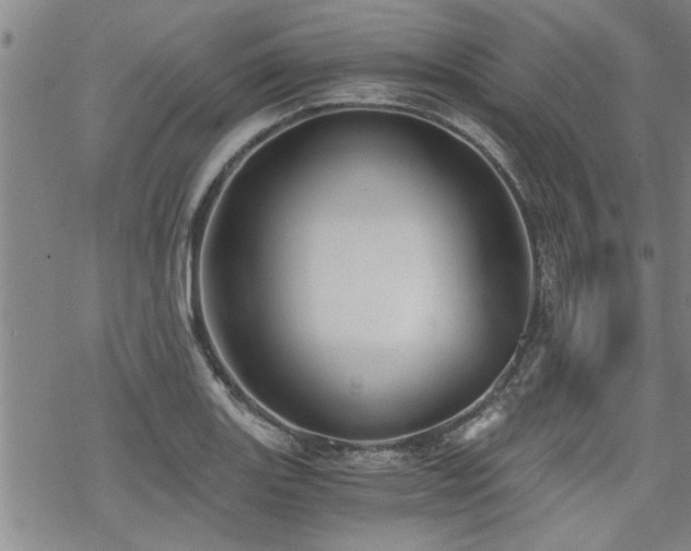 X0000069811131200605191039