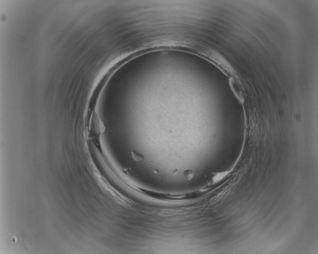 X0000069811132200605191039