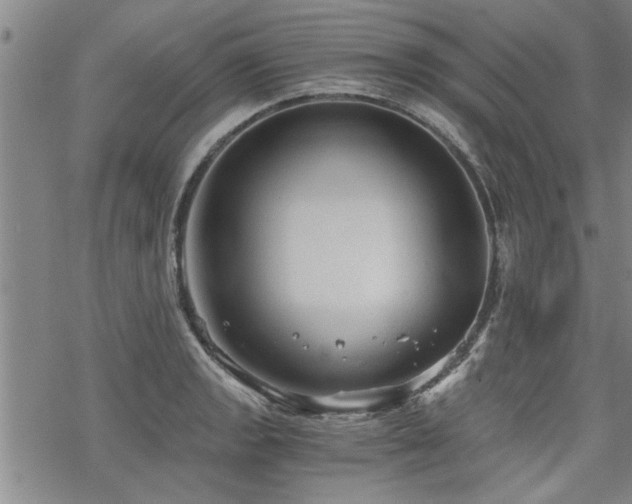 X0000069811133200605191039