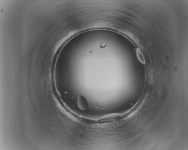 X0000069811134200605191039