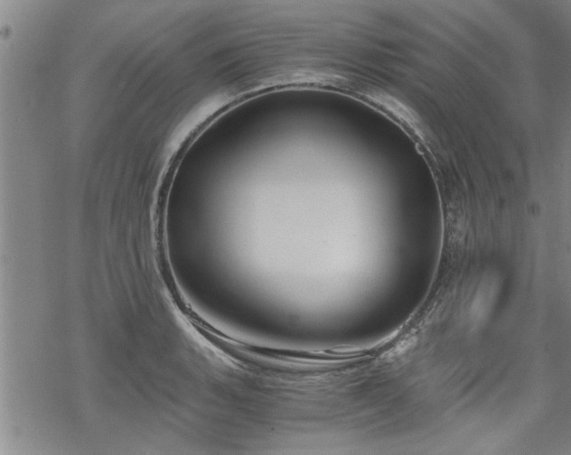 X0000069811135200605191039