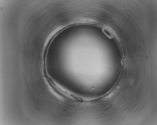 X0000069811136200605191039