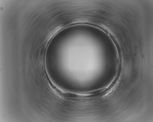 X0000069811137200605191039