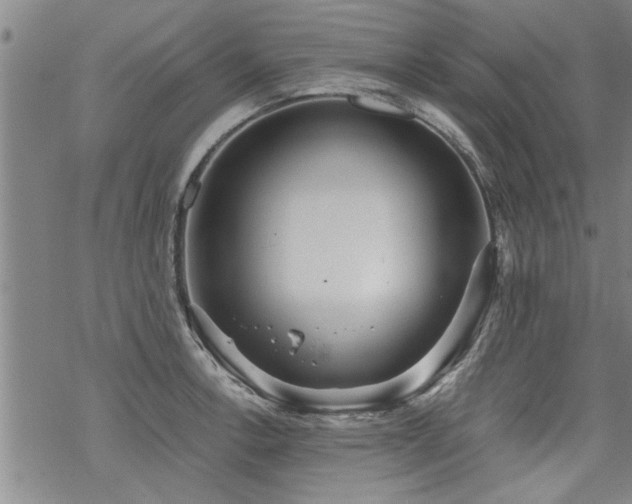 X0000069811138200605191039