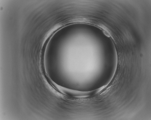 X0000069811139200605191039