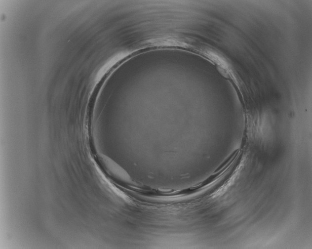 X0000069811141200605191039