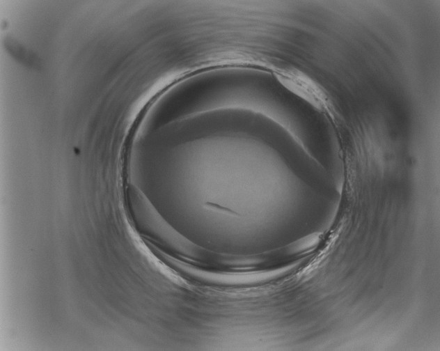 X0000069811142200605191039