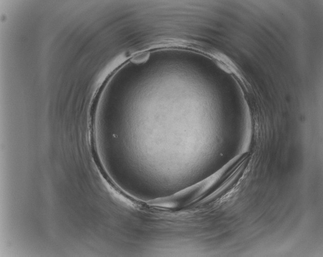 X0000069811143200605191039