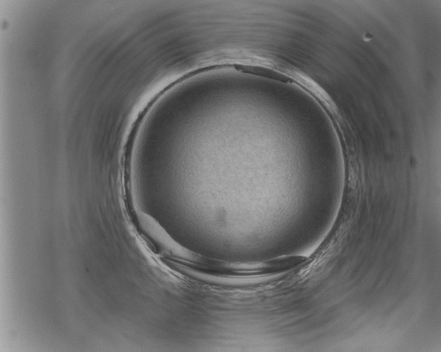 X0000069811144200605191039