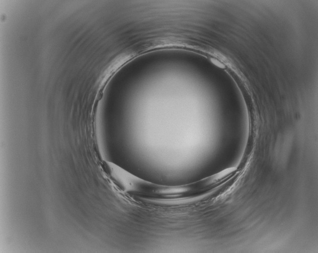 X0000069811145200605191039