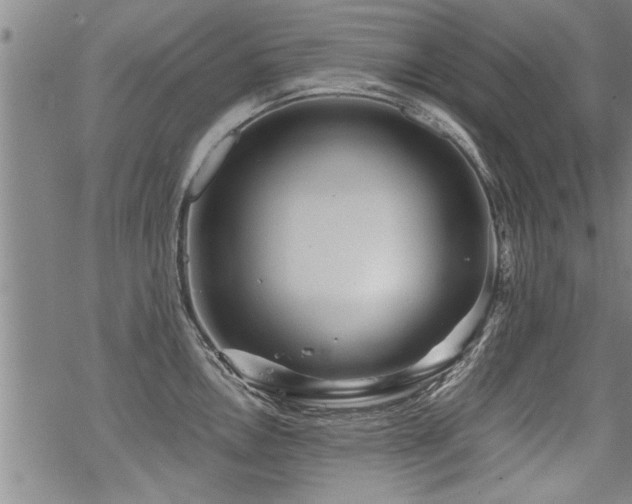 X0000069811146200605191039