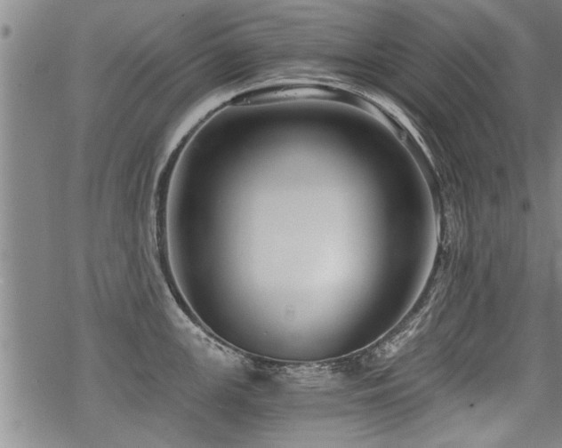 X0000069811147200605191039