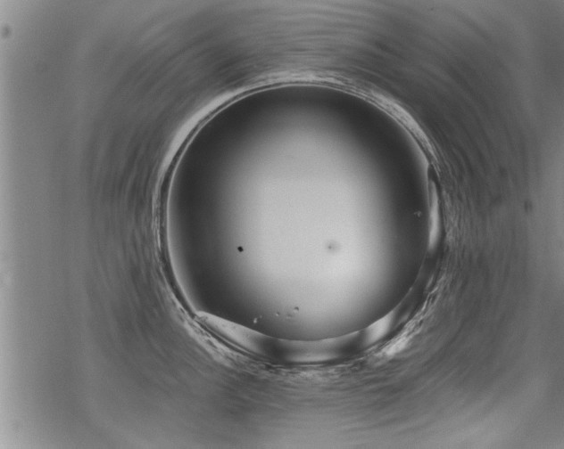 X0000069811148200605191039