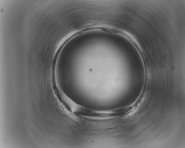 X0000069811149200605191039