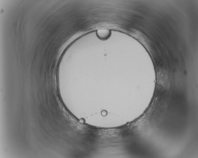 X0000069811150200605191039