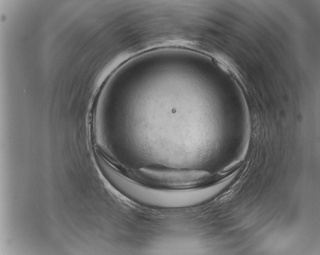 X0000069811151200605191039