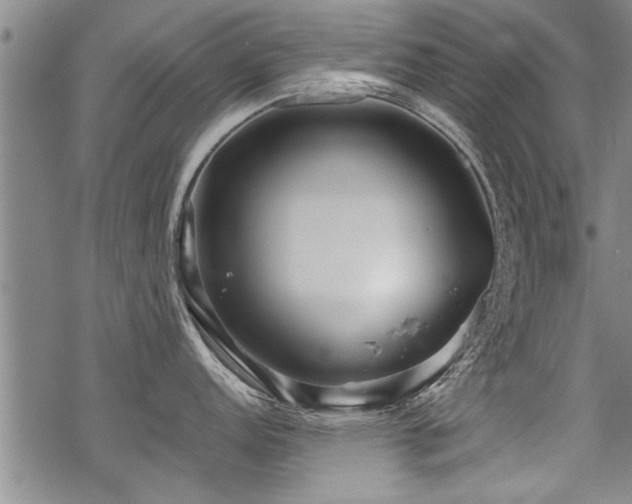 X0000069811152200605191039