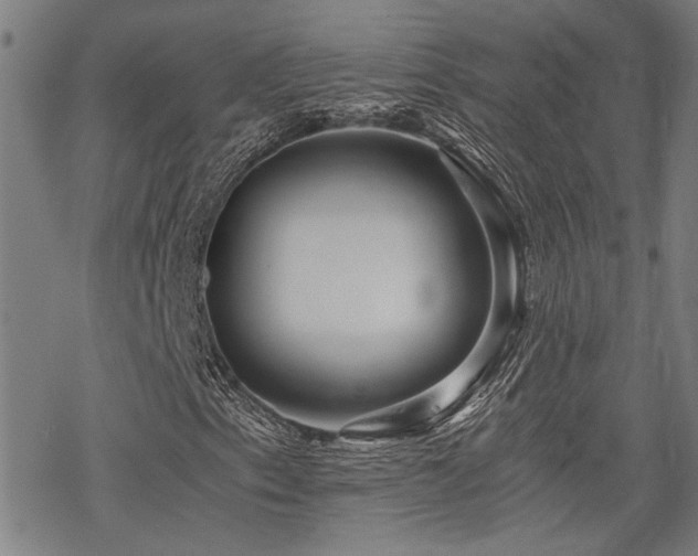 X0000069811153200605191038