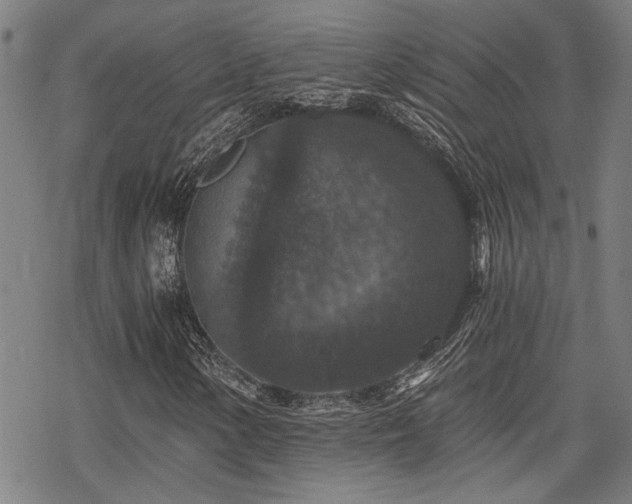 X0000069811154200605191038