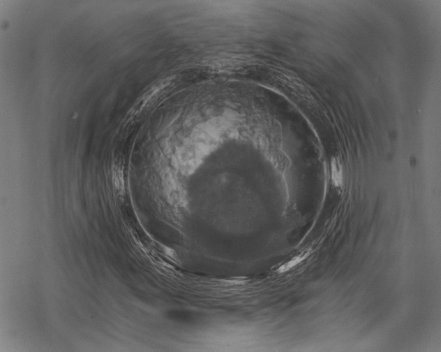 X0000069811155200605191038