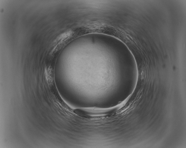 X0000069811156200605191038