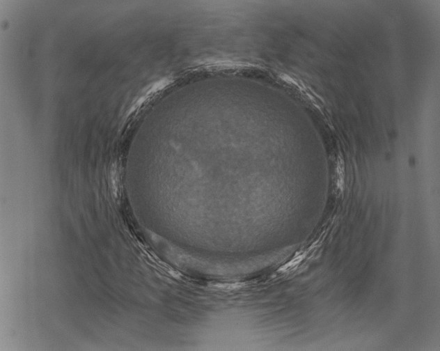 X0000069811157200605191038