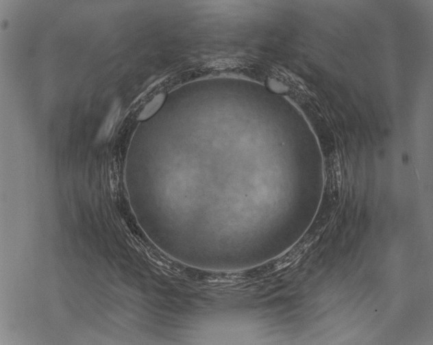 X0000069811158200605191038