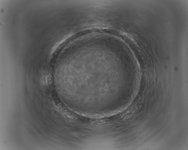 X0000069811159200605191038