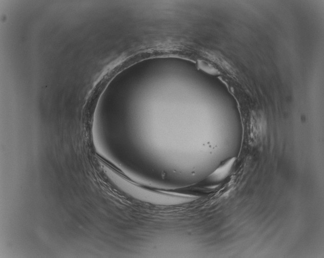 X0000069811160200605191038