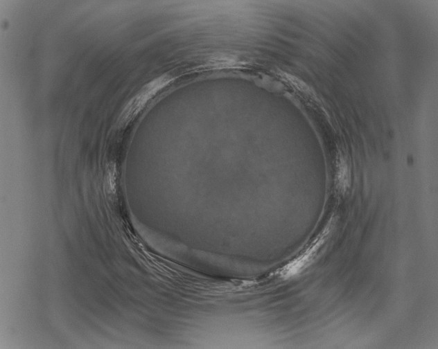 X0000069811161200605191038