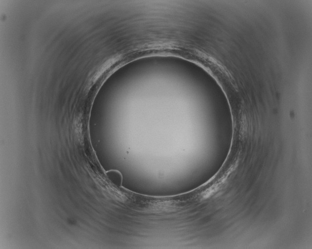 X0000069811162200605191038