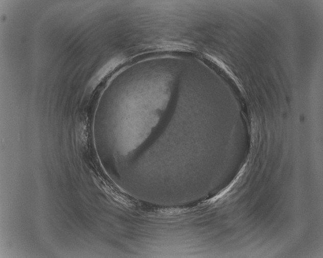 X0000069811163200605191038