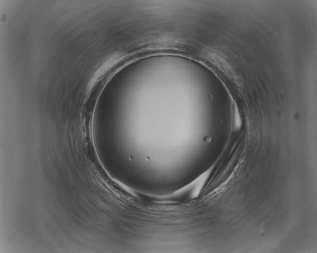 X0000069811164200605191038