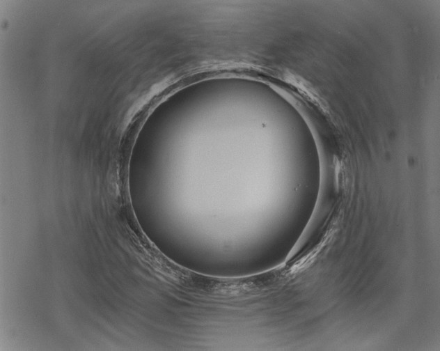 X0000069811165200605191038