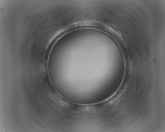 X0000069811166200605191038