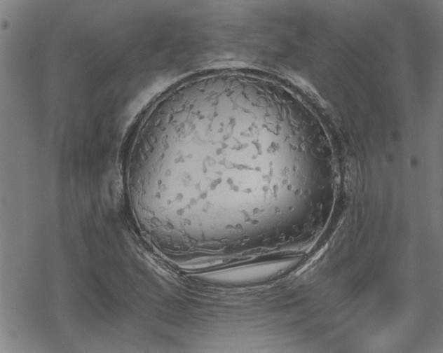 X0000069811167200605191038