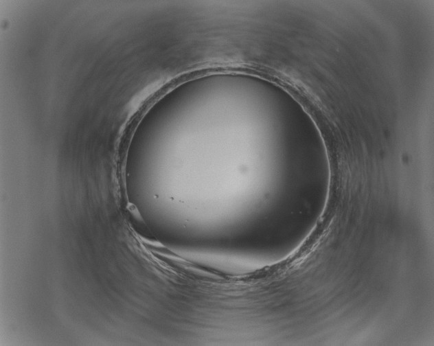 X0000069811168200605191038