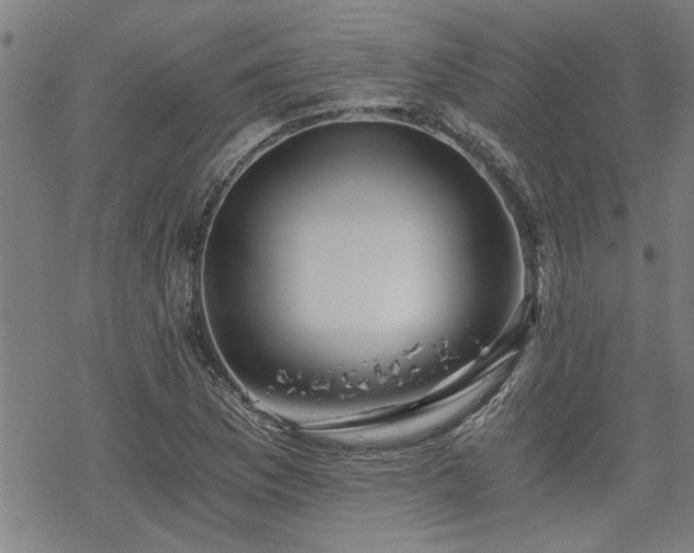 X0000069811169200605191038