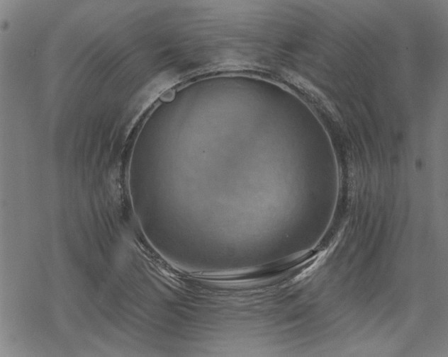 X0000069811170200605191038