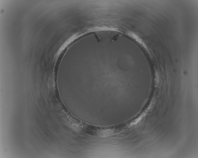 X0000069811173200605191038