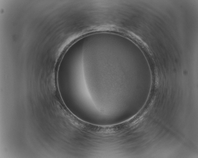 X0000069811174200605191038