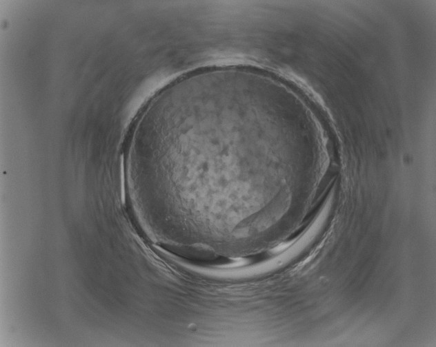 X0000069811175200605191038