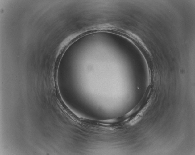 X0000069811176200605191038