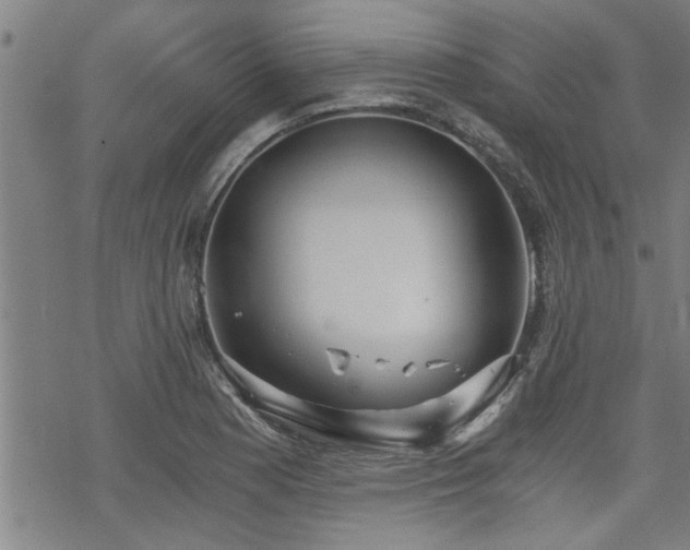 X0000069811177200605191038